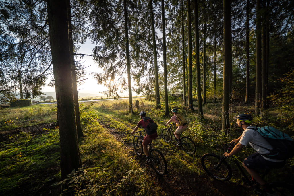 Stoneman Arduenna Belgien BeNeLux MTB Mountainbike Tour Eifel Ardennen 07