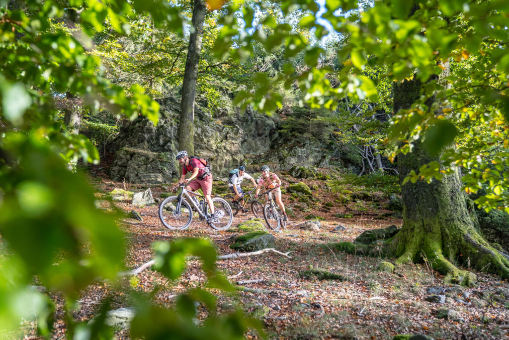 Stoneman Arduenna Belgien BeNeLux MTB Mountainbike Tour Eifel Ardennen 09