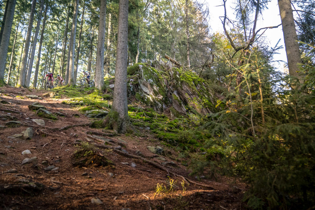 Mountainbike Trails Ostbelgien