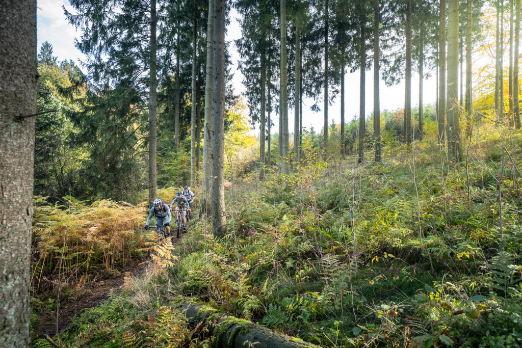 Stoneman Arduenna MTB Route