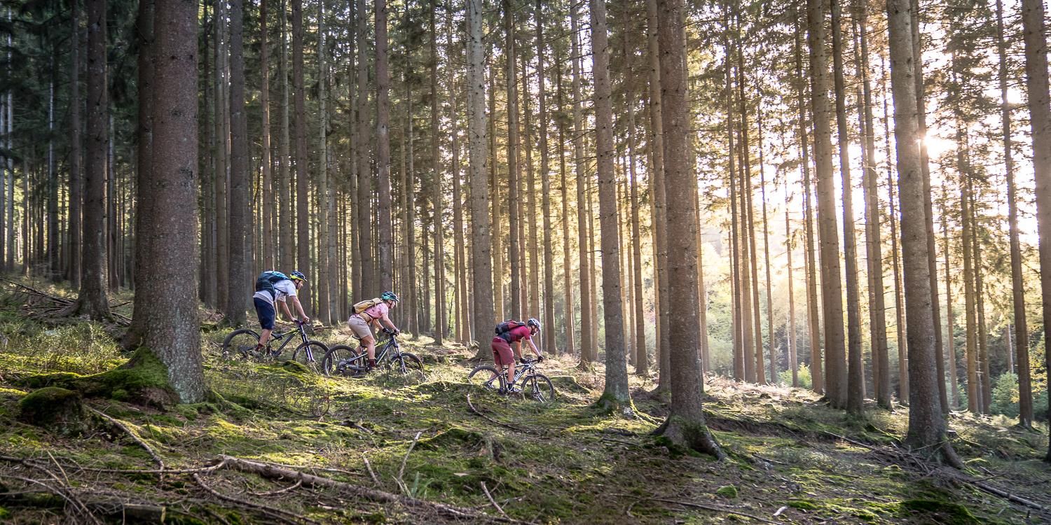 Stoneman-Arduenna_ MTB Tour VTT